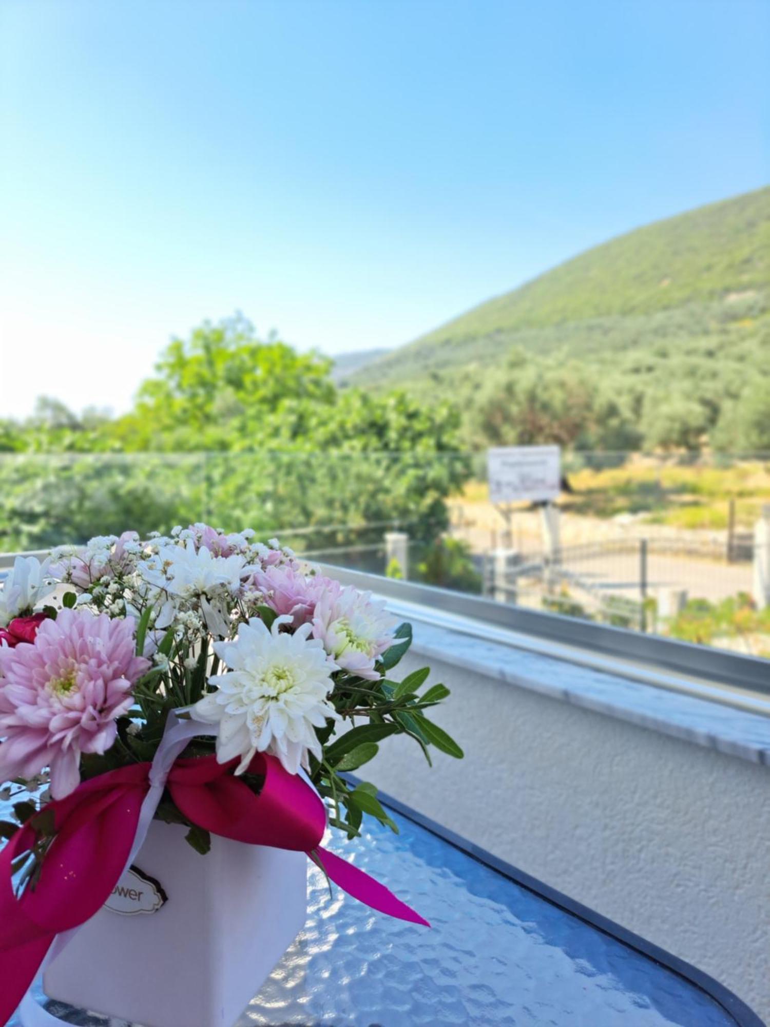 Apartments Pepdjonovic Ulcinj Zewnętrze zdjęcie