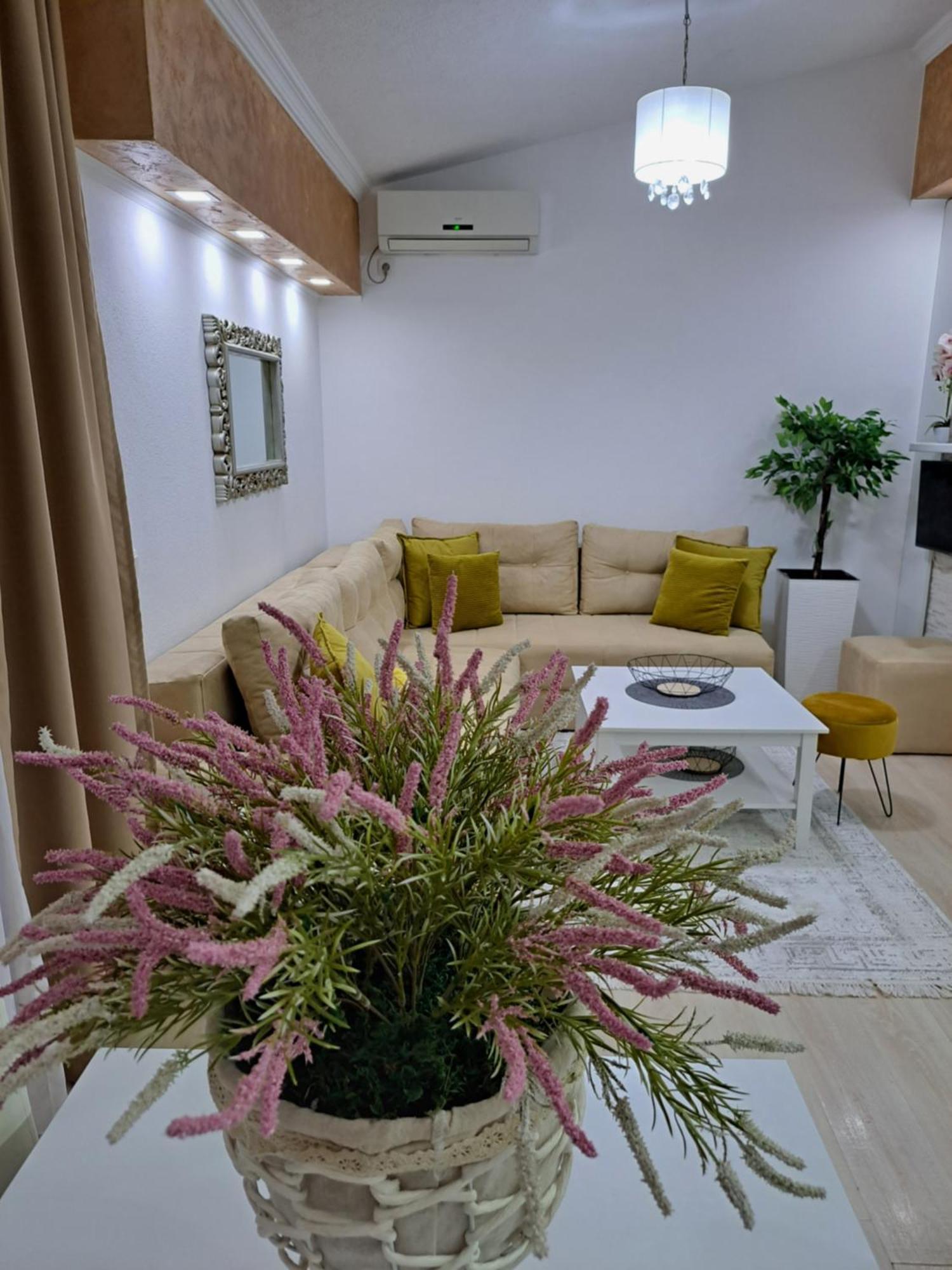 Apartments Pepdjonovic Ulcinj Zewnętrze zdjęcie